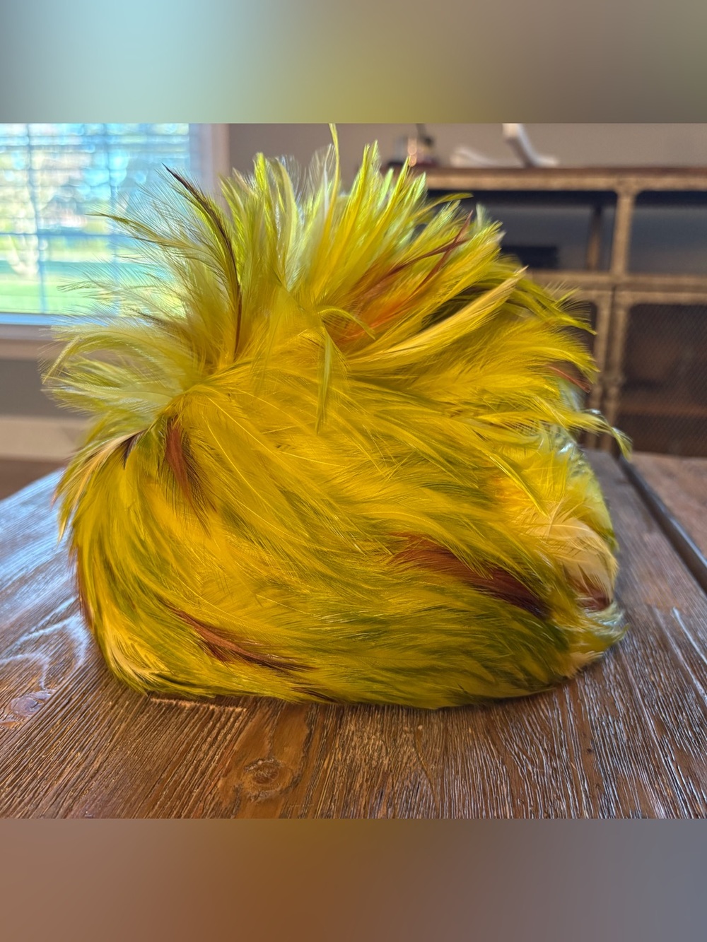 Vintage Yellow Green Feather Pillbox Hat Toque Mod Statement 22 1/2